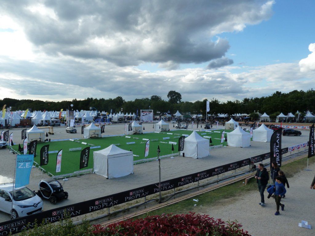 GAME FAIR 2019
Lamotte-Beuvront
Loir et Cher
Temps: couvert, ensoleillé, humide,venteux, boueux, chaud, frais, etc.
